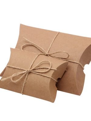 BXT 1002 Terra Kraft Folded Box (Medium Size)